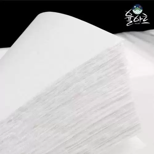 배접지-추천