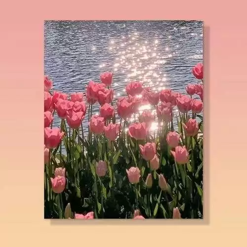 아크릴